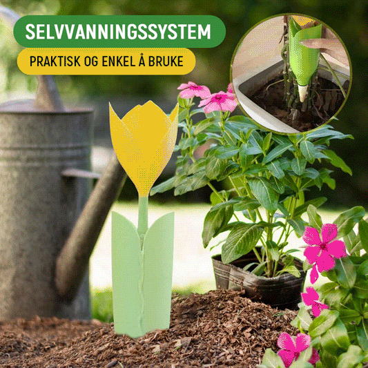 🌷Dryppvanning for Tulipanplanter