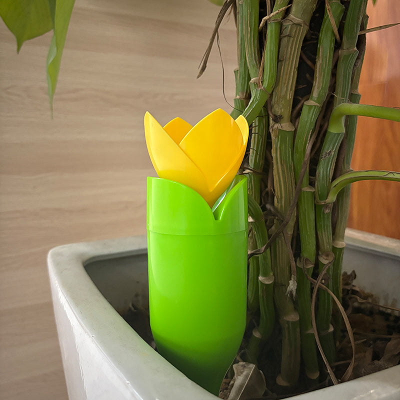 🌷Dryppvanning for Tulipanplanter