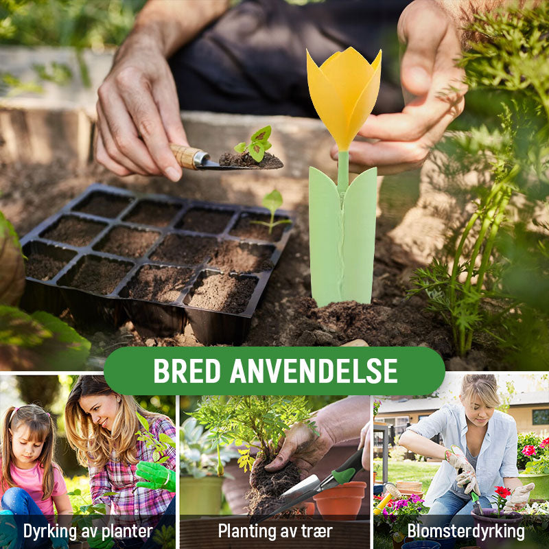 🌷Dryppvanning for Tulipanplanter