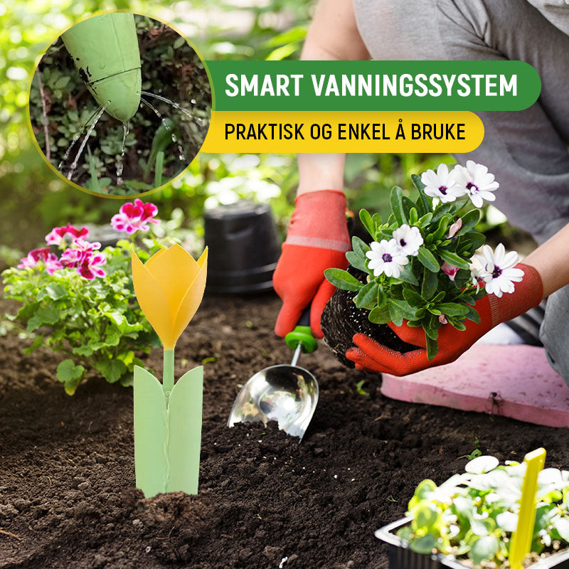 🌷Dryppvanning for Tulipanplanter