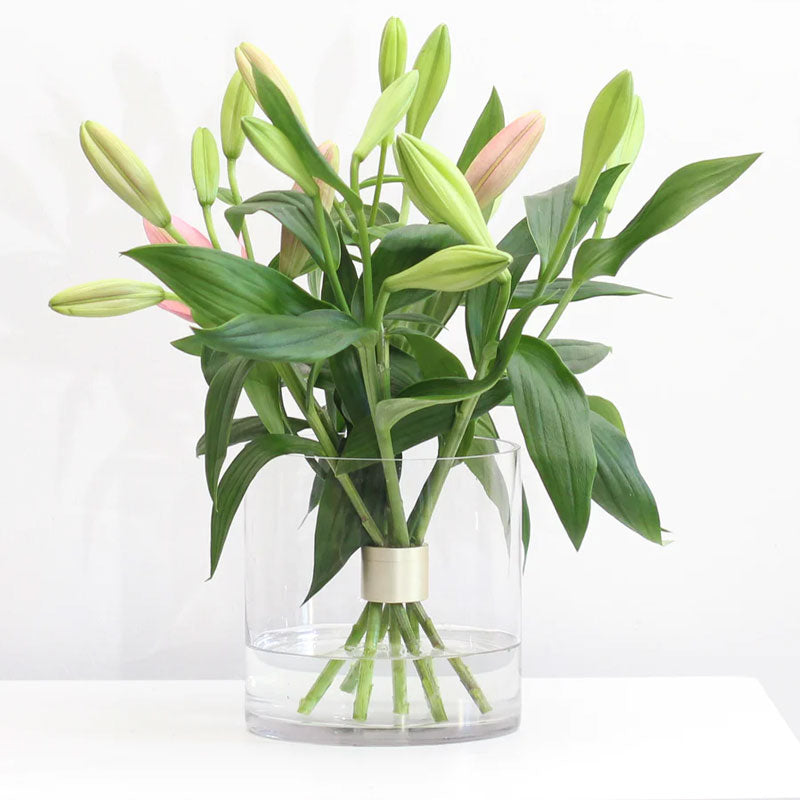 Spiral Ikebana