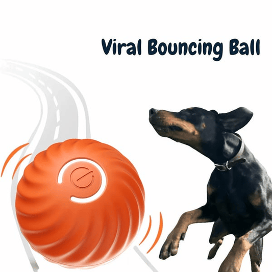 🔥Siste dagskampanje 50% rabatt - Chewie Viral Bouncing Bal