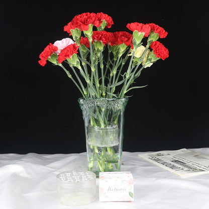 Spiral Ikebana Stangholder - Forbedret Modell