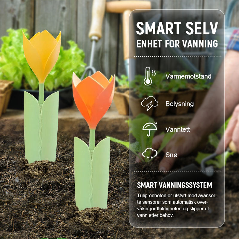 🌷Dryppvanning for Tulipanplanter