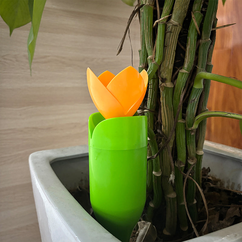 🌷Dryppvanning for Tulipanplanter